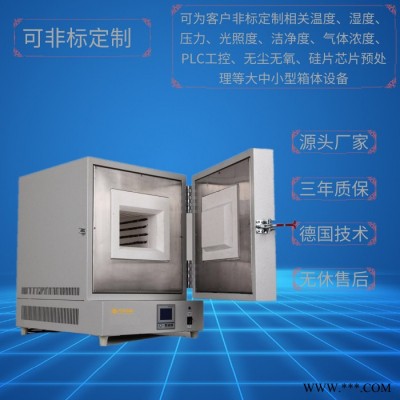 陶瓷纖維馬弗爐DTM-6B-16 上海廠家 定做定制電阻爐 管式爐 氣氛爐 燒結爐 高溫爐 退火爐 臺車爐等