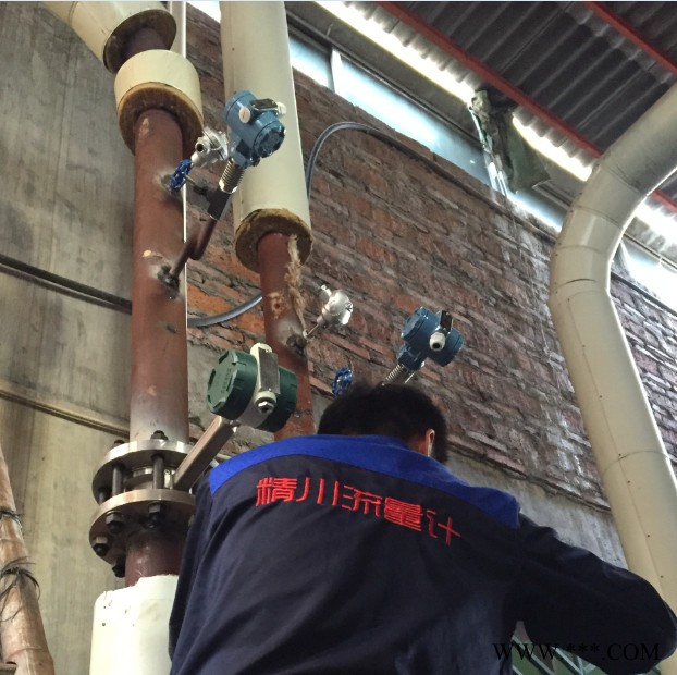 蒸汽流量計 電鍍廠蒸汽流量計 蒸汽流量計安裝