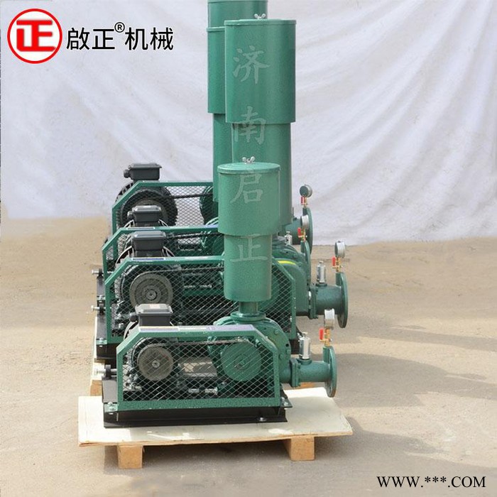 啟正CCR100 三葉羅茨式風機 電鍍行業用 節能省電的