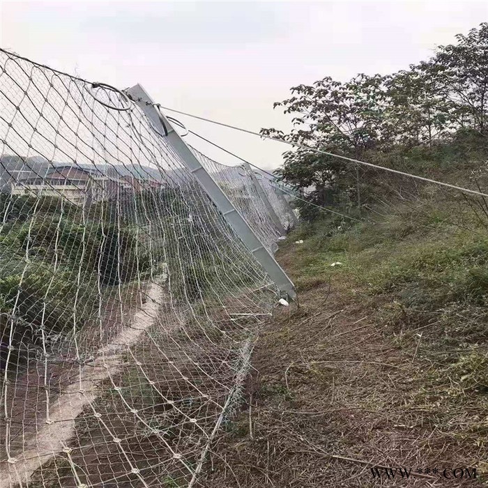 邊坡金屬護坡網  電鍍鋅鈦克網  滑坡治理專用網 批發現貨 繼乾