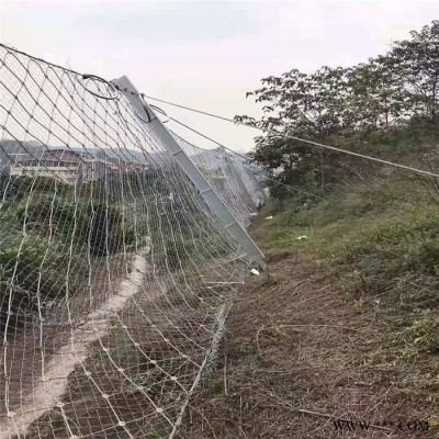 邊坡金屬護坡網  電鍍鋅鈦克網  滑坡治理專用網 批發現貨 繼乾